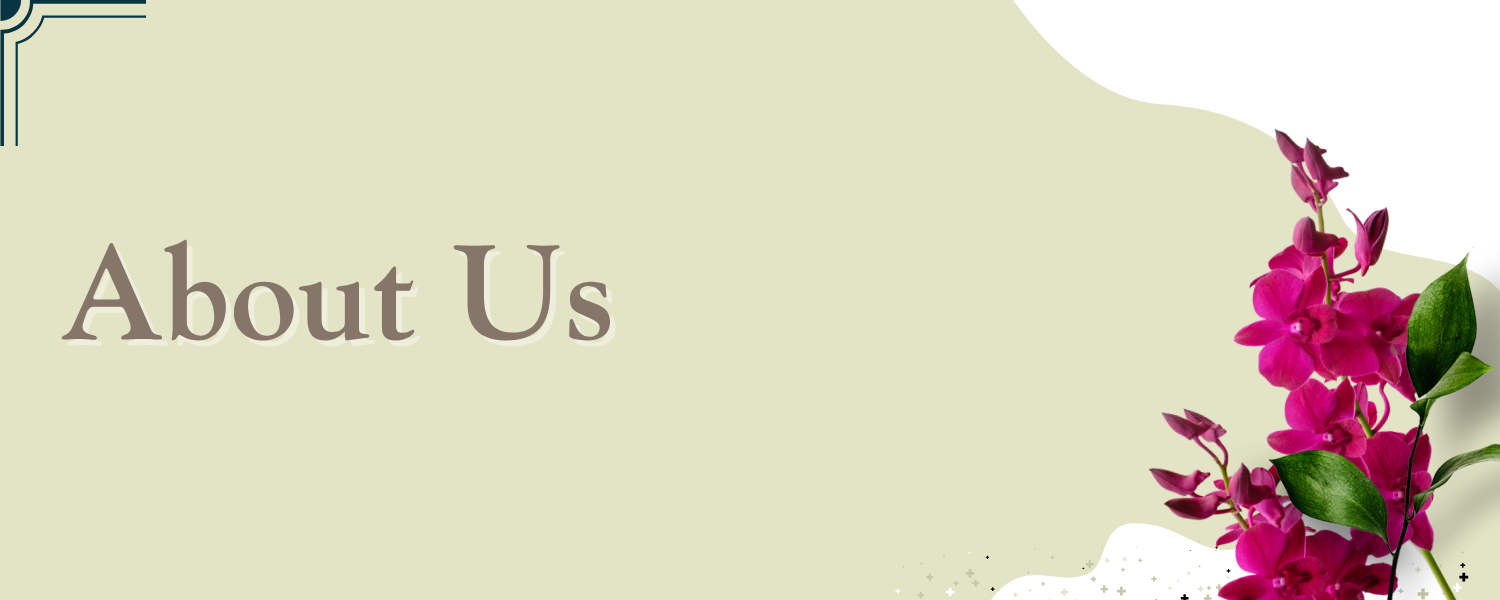section-banner-1