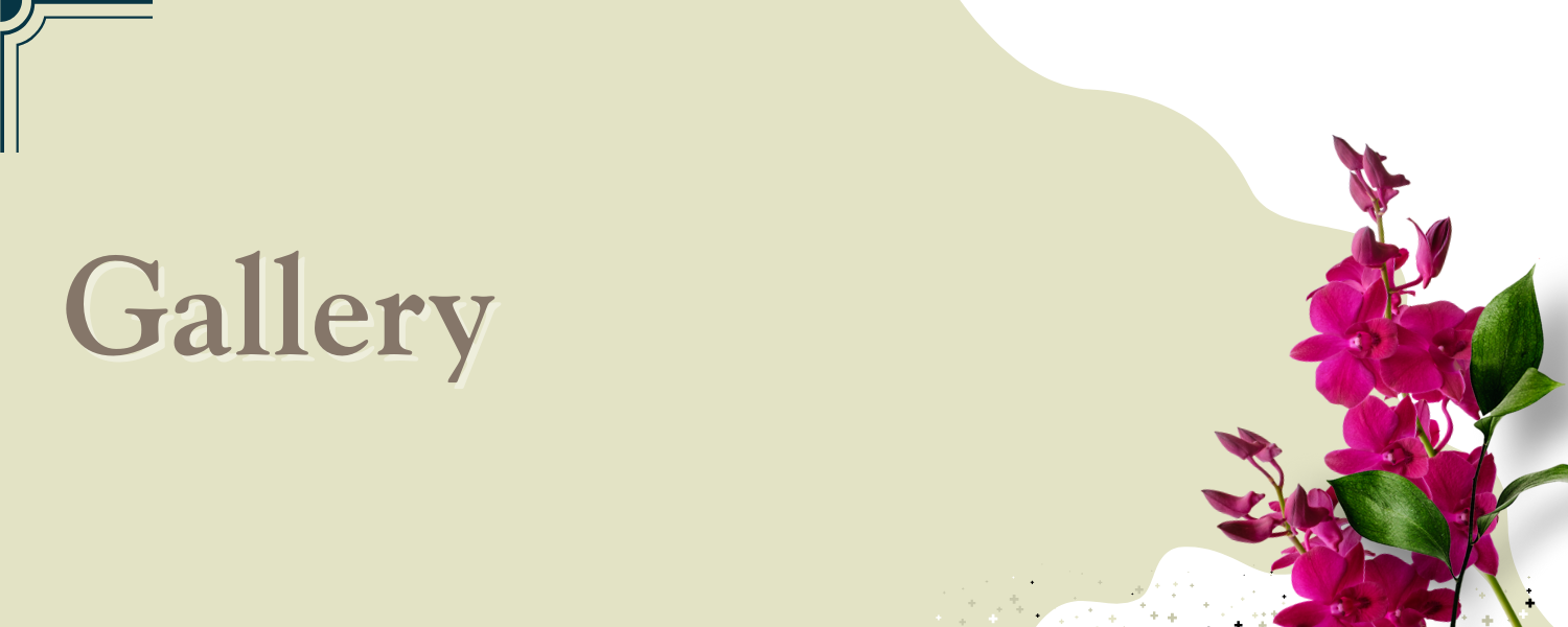 section-banner-1